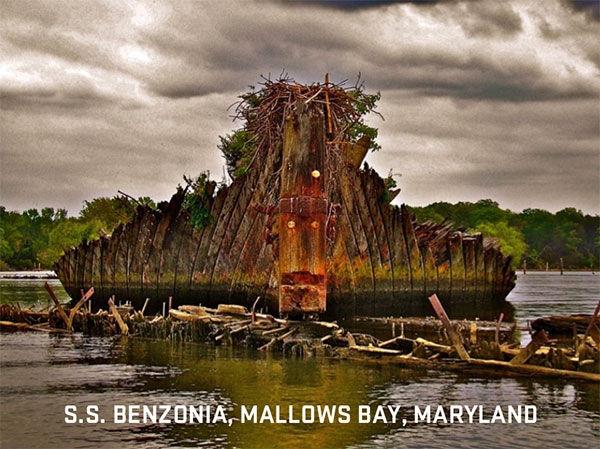 remains of the ship S.S. Bezonia Mallows Bay, MD